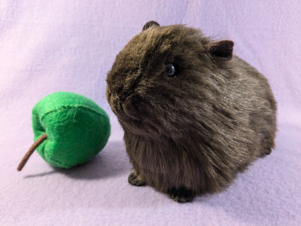 Big Dark Brown Guinea Pig Plushie