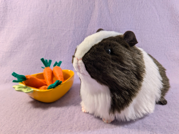 Big Dark Brown Dutch Guinea Pig Plushie