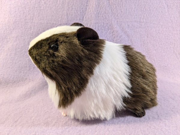 Big Dark Brown Dutch Guinea Pig Plushie