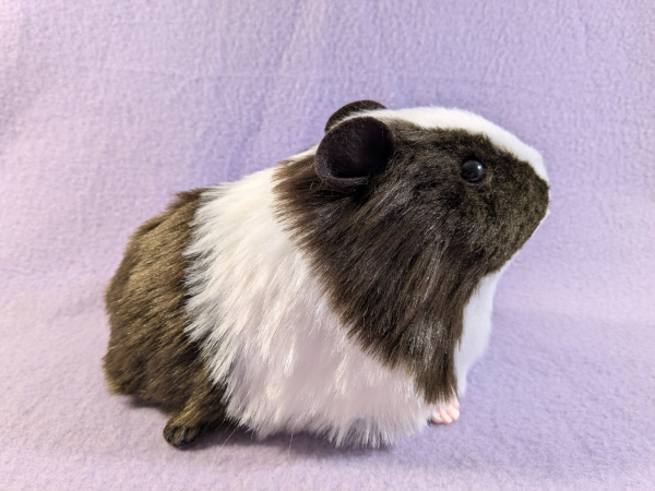 Big Dark Brown Dutch Guinea Pig Plushie