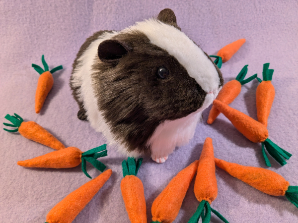 Big Dark Brown Dutch Guinea Pig Plushie