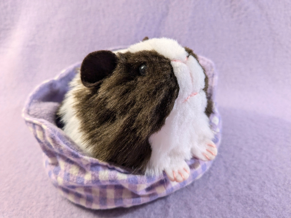 Little Dark Brown Dutch Guinea Pig Plushie