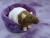 Agouti Brown Bareback Rat Plushie