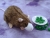 Agouti Brown Blazed Rat Plushie