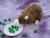 Agouti Brown Blazed Rat Plushie