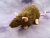 Agouti Brown Rat Plushie