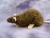 Agouti Brown Rat Plushie