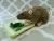 Agouti Grey Berkshire Rat Plushie