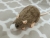 Agouti Grey Blazed Rat Plushie
