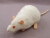 White Rat Plushie