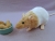 Beige Bareback Rat Plushie