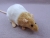 Beige Bareback Rat Plushie