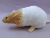 Beige Bareback Rat Plushie