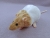 Beige Bareback Rat Plushie