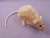 Beige Berkshire Rat Plushie