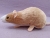 Beige Blazed Rat Plushie