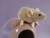 Beige Mouse Plushie