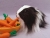 Big Black Dutch Longhaired Guinea Pig Plushie