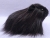 Big Black Longhaired Guinea Pig Plushie