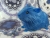 Big Blue Guinea Pig Plushie