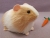 Big Buff Dutch Guinea Pig Plushie