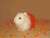 Big Candy Corn Guinea Pig Plushie