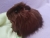 Big Dark Brown Longhaired Guinea Pig Plushie