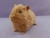 Big Golden Brown Guinea Pig Plushie