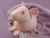 Big Hairless Guinea Pig Plushie