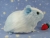 Big Light Blue Dutch Guinea Pig Plushie (Fluffy)