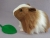 Big Light Brown Dutch Guinea Pig Plushie