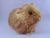 Big Light Brown Guinea Pig Plushie