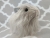 Big Grey Longhaired Guinea Pig Plushie