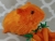 Big Orange Guinea Pig Plushie