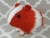 Big Red Dutch Guinea Pig Plushie