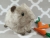 Big Silver Guinea Pig Plushie