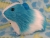 Big Turquoise Dutch Guinea Pig Plushie