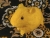 Big Yellow Guinea Pig Plushie