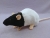 Black Bareback Rat Plushie