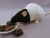 Black Bareback Rat Plushie