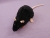Black Rat Plushie