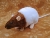 Brown Bareback Rat Plushie