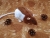 Brown Hooded Rat Plushie