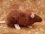 Brown Rat Plushie
