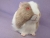Big Lilac Grey Dutch Guinea Pig Plushie