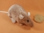 Coral Rat Plushie