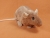 Coral Rat Plushie