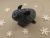 Dark Blue Checkered Guinea Pig Ornament