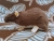 Dark Brown Berkshire Rat Plushie