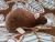 Dark Brown Blazed Rat Plushie
